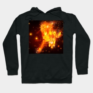 Fire horse Hoodie